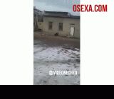 Skrinshot
